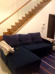 The Rochester Residences (D5), Apartment #517510731